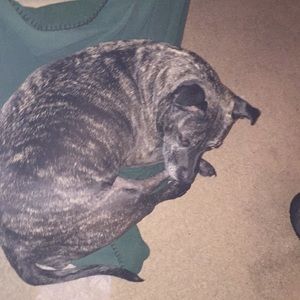 Meet your Posher, Joe